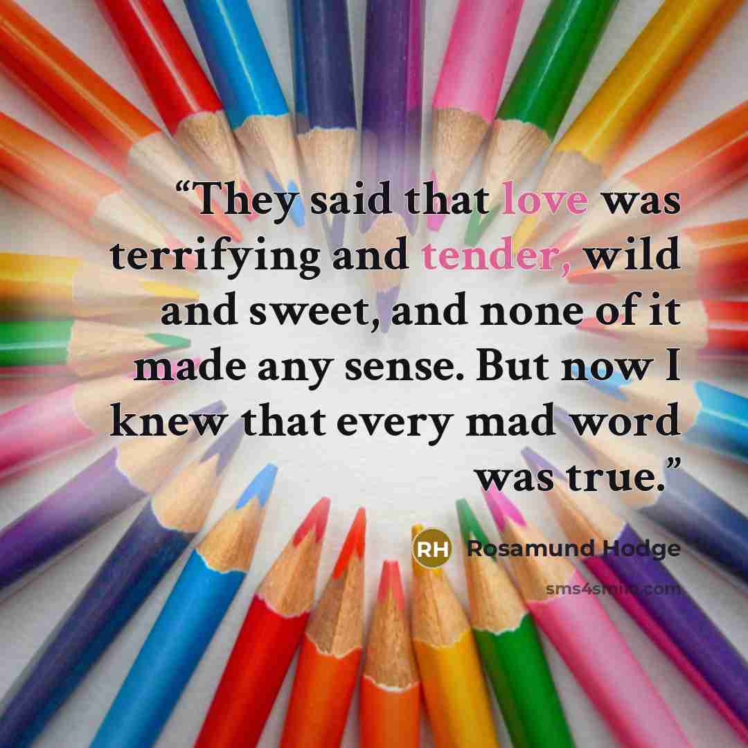 “They said that love was terrifying and tender, wild and sweet, and none of it made any sense. But now I knew that every mad word was true.” quote by Rosamund Hodge