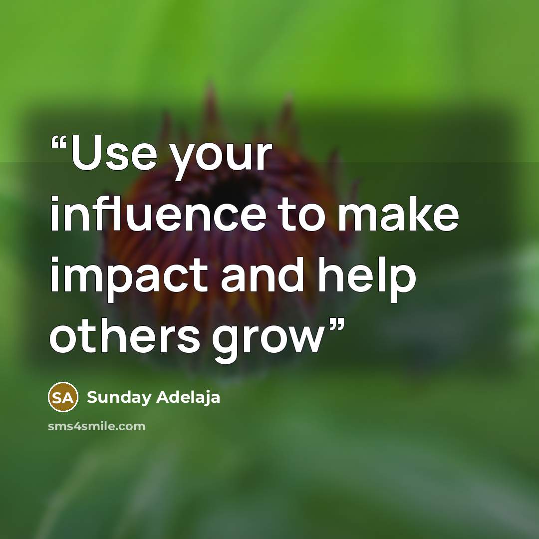 “Use your influence to make impact and help others grow” quote by Sunday Adelaja