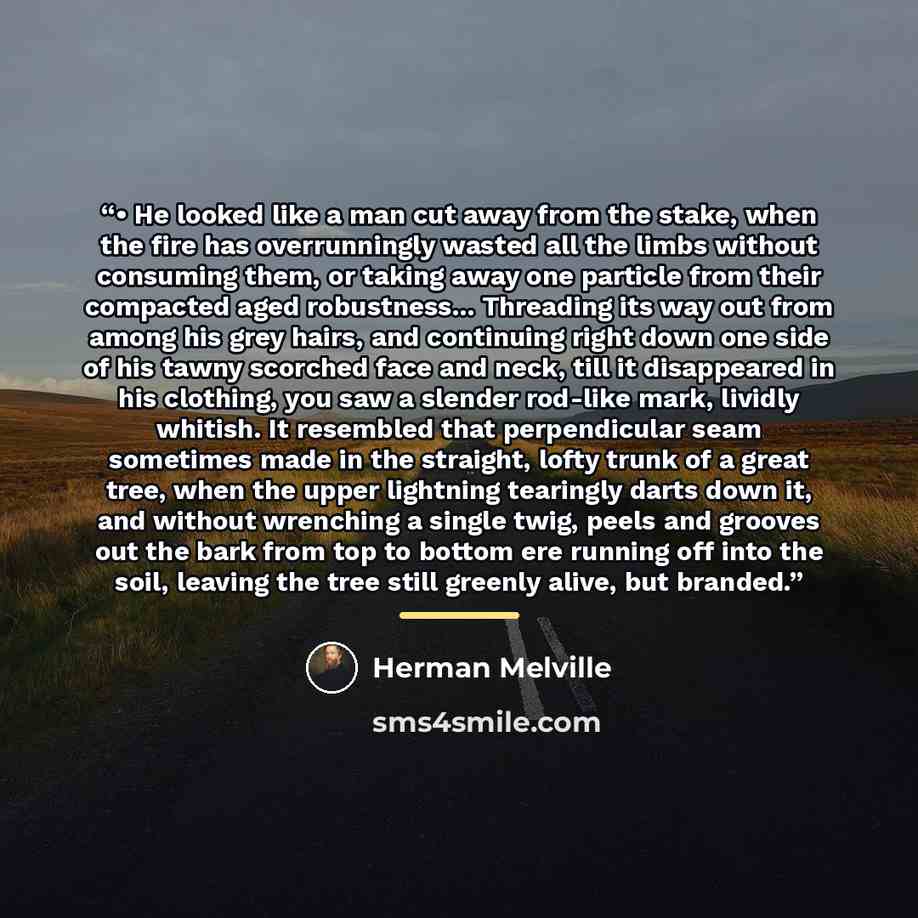 “• He looked like a man cut away from the stake, when the fire has overrunningly wasted all the limbs without consuming them, or taking away one particle from their compacted aged robustness... Threading its way out from among his grey hairs, and continuing right down one side of his tawny scorched…” quote by Herman Melville