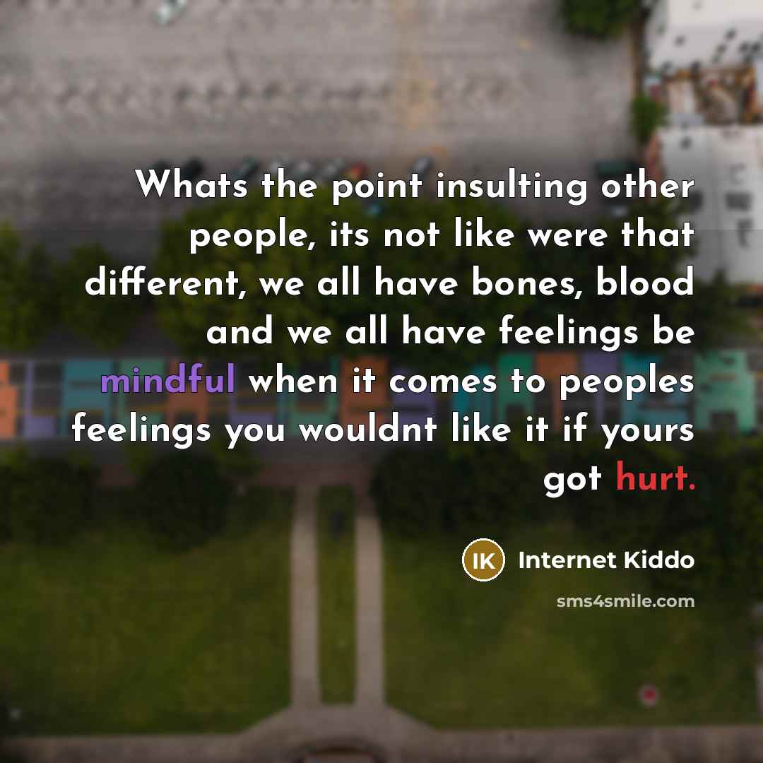 “Whats the point insulting other people, its not like were that different, we all have bones, blood and we all have feelings be mindful when it comes to peoples feelings you wouldnt like it if yours got hurt.” quote by Internet Kiddo