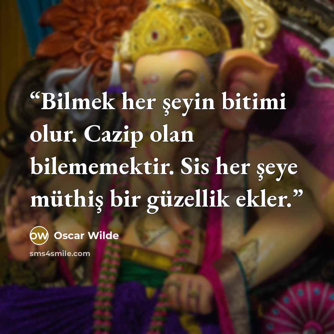 “Bilmek her şeyin bitimi olur. Cazip olan bilememektir. Sis her şeye müthiş bir güzellik ekler.” quote by Oscar Wilde