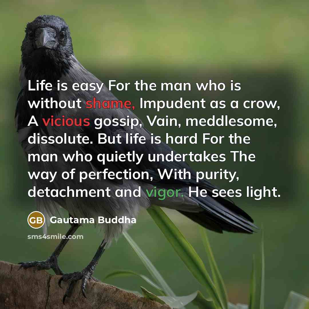 “Life is easy For the man who is without shame, Impudent as a crow, A vicious gossip, Vain, meddlesome, dissolute. But life is hard For the man who quietly undertakes The way of perfection, With purity, detachment and vigor. He sees light.” quote by Gautama Buddha
