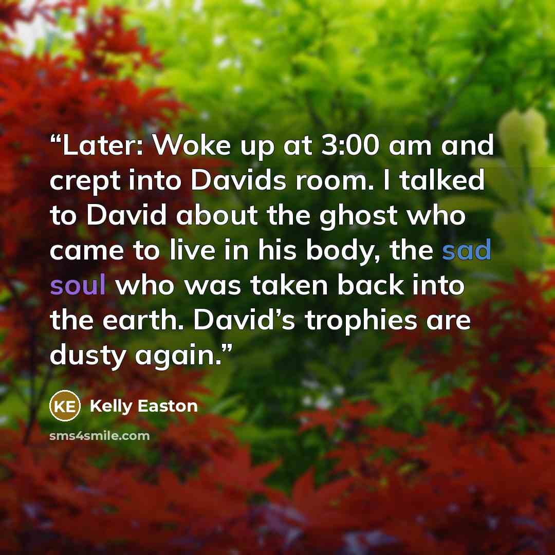 “Later: Woke up at 3:00 am and crept into Davids room. I talked to David about the ghost who came to live in his body, the sad soul who was taken back into the earth. David’s trophies are dusty again.” quote by Kelly Easton