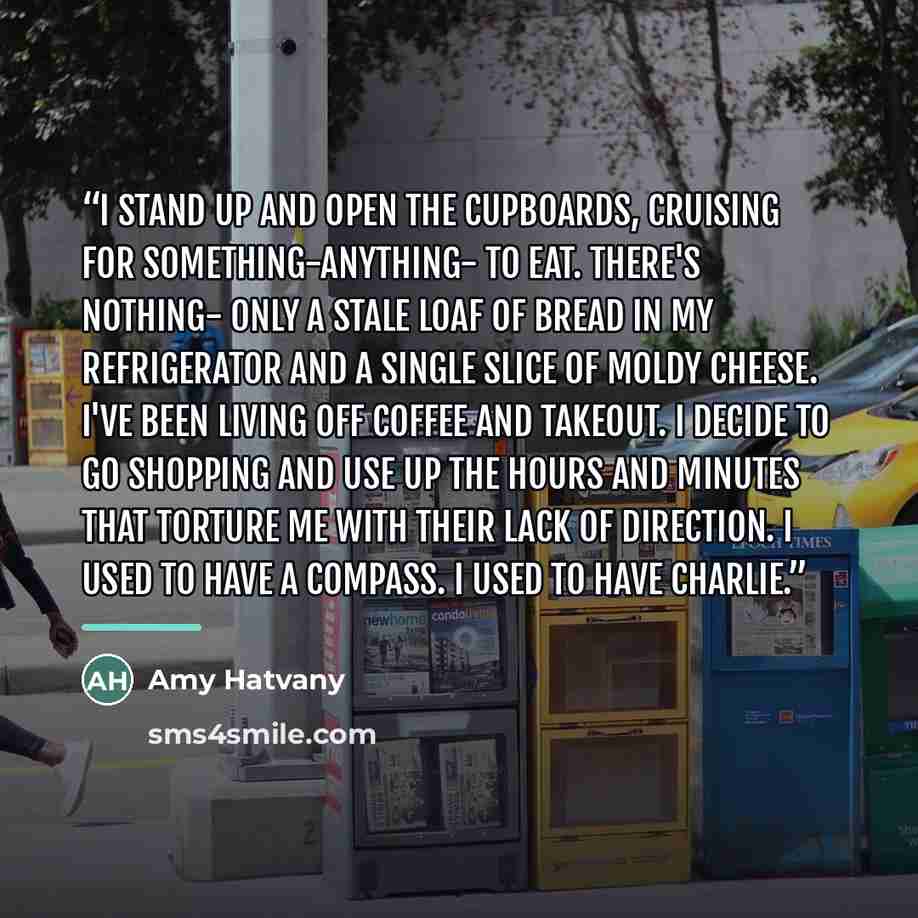 “i stand up and open the cupboards, cruising for something-anything- to eat. there's nothing- only a stale loaf of bread in my refrigerator and a single slice of moldy cheese. i've been living off coffee and takeout. i decide to go shopping and use up the hours and minutes that torture me with…” quote by Amy Hatvany
