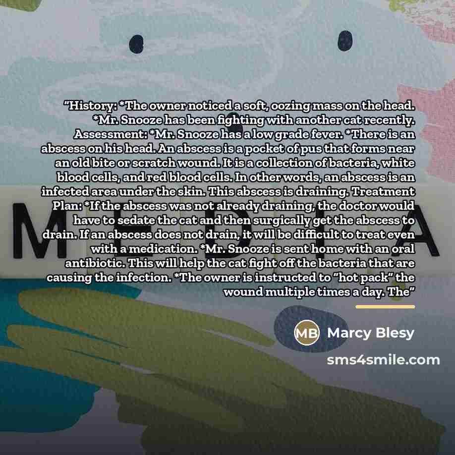 “History: *The owner noticed a soft, oozing mass on the head. *Mr. Snooze has been fighting with another cat recently. Assessment: *Mr. Snooze has a low grade fever. *There is an abscess on his head. An abscess is a pocket of pus that forms near an old bite or scratch wound. It is a collection of…” quote by Marcy Blesy