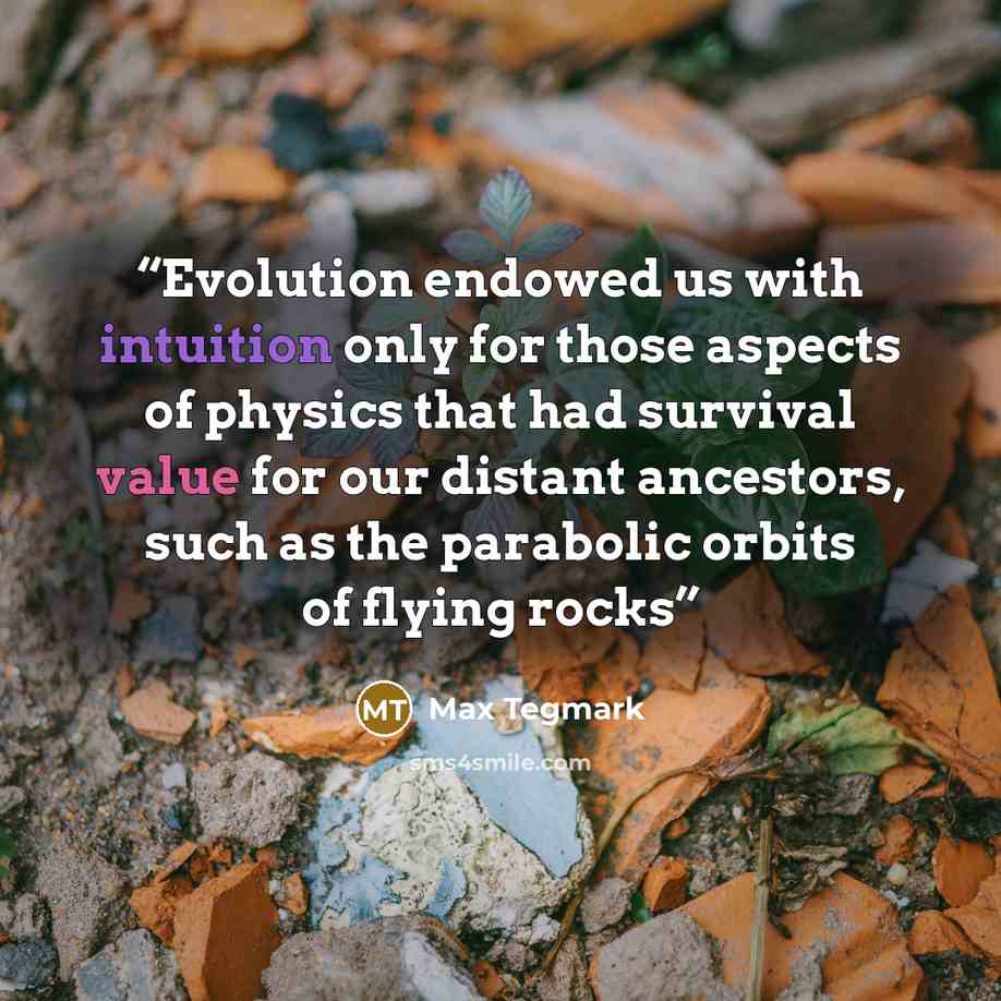 “Evolution endowed us with intuition only for those aspects of physics that had survival value for our distant ancestors, such as the parabolic orbits of flying rocks” quote by Max Tegmark