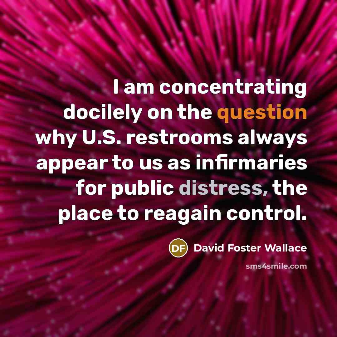 “I am concentrating docilely on the question why U.S. restrooms always appear to us as infirmaries for public distress, the place to reagain control.” quote by David Foster Wallace