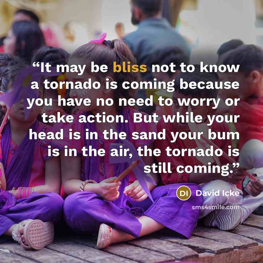 “It may be bliss not to know a tornado is coming because you have no need to worry or take action. But while your head is in the sand your bum is in the air, the tornado is still coming.” quote by David Icke