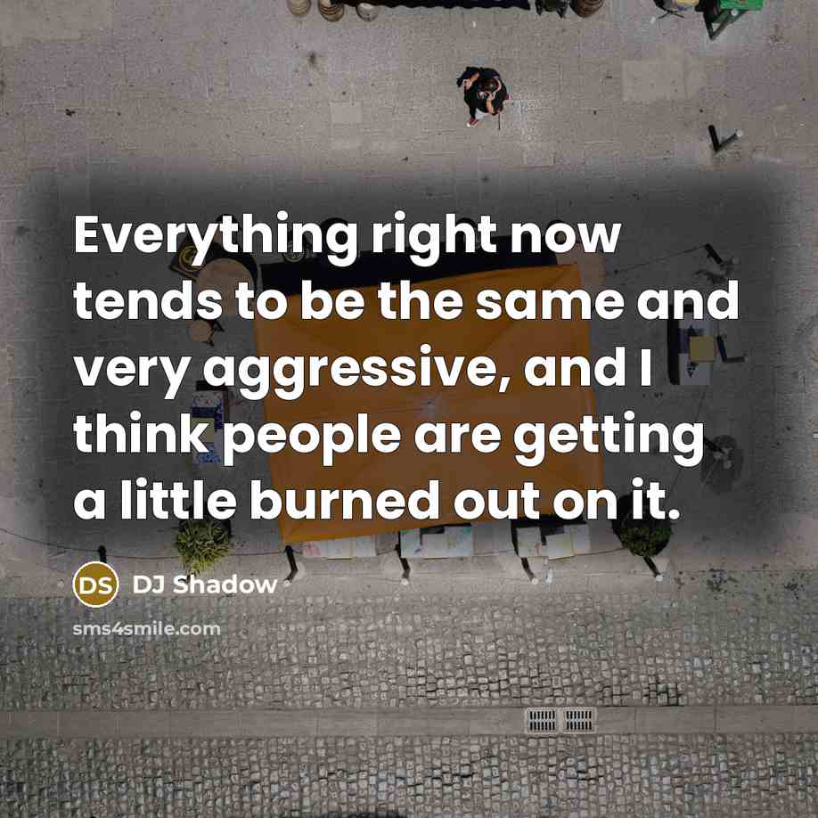 “Everything right now tends to be the same and very aggressive, and I think people are getting a little burned out on it.” quote by DJ Shadow