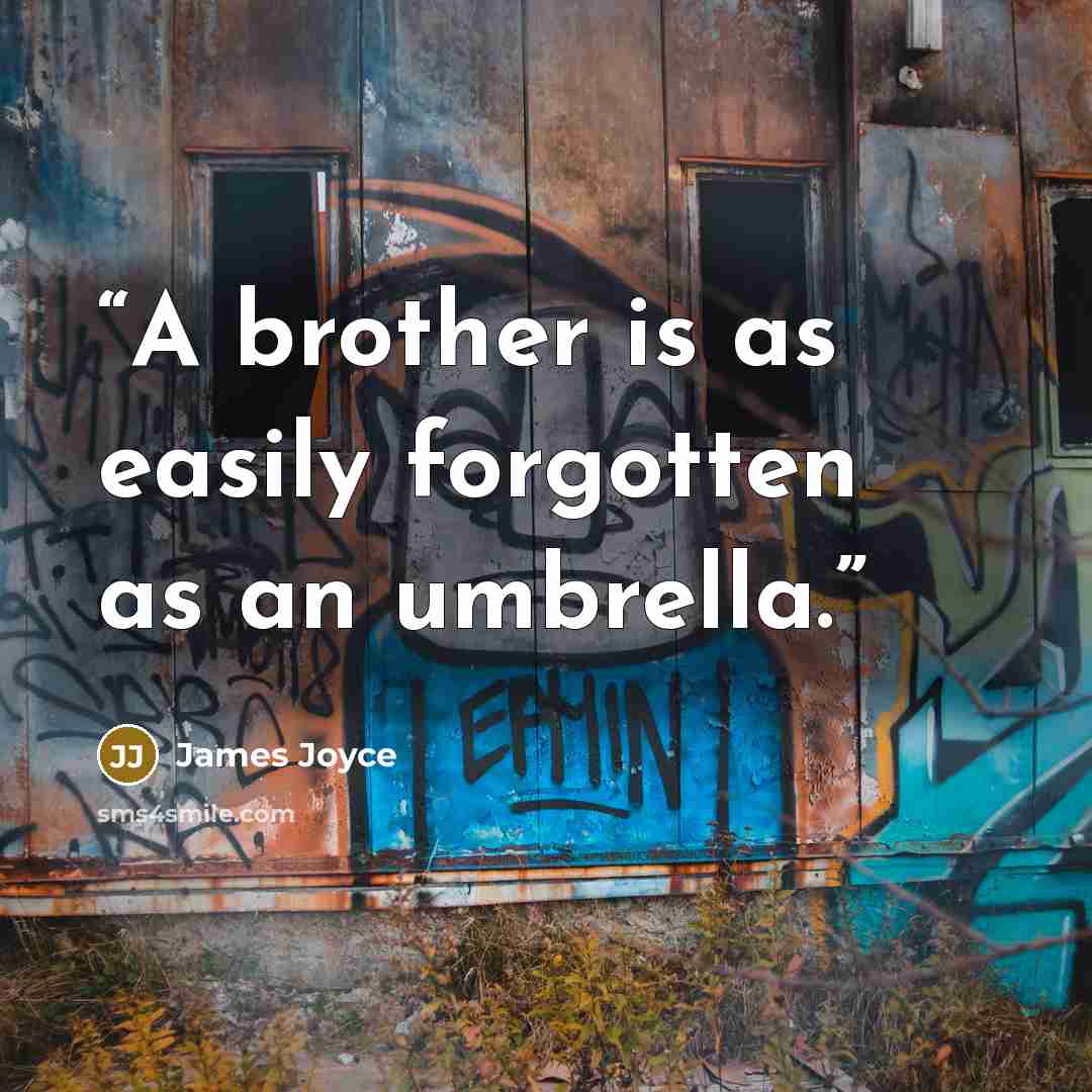 “A brother is as easily forgotten as an umbrella.” quote by James Joyce