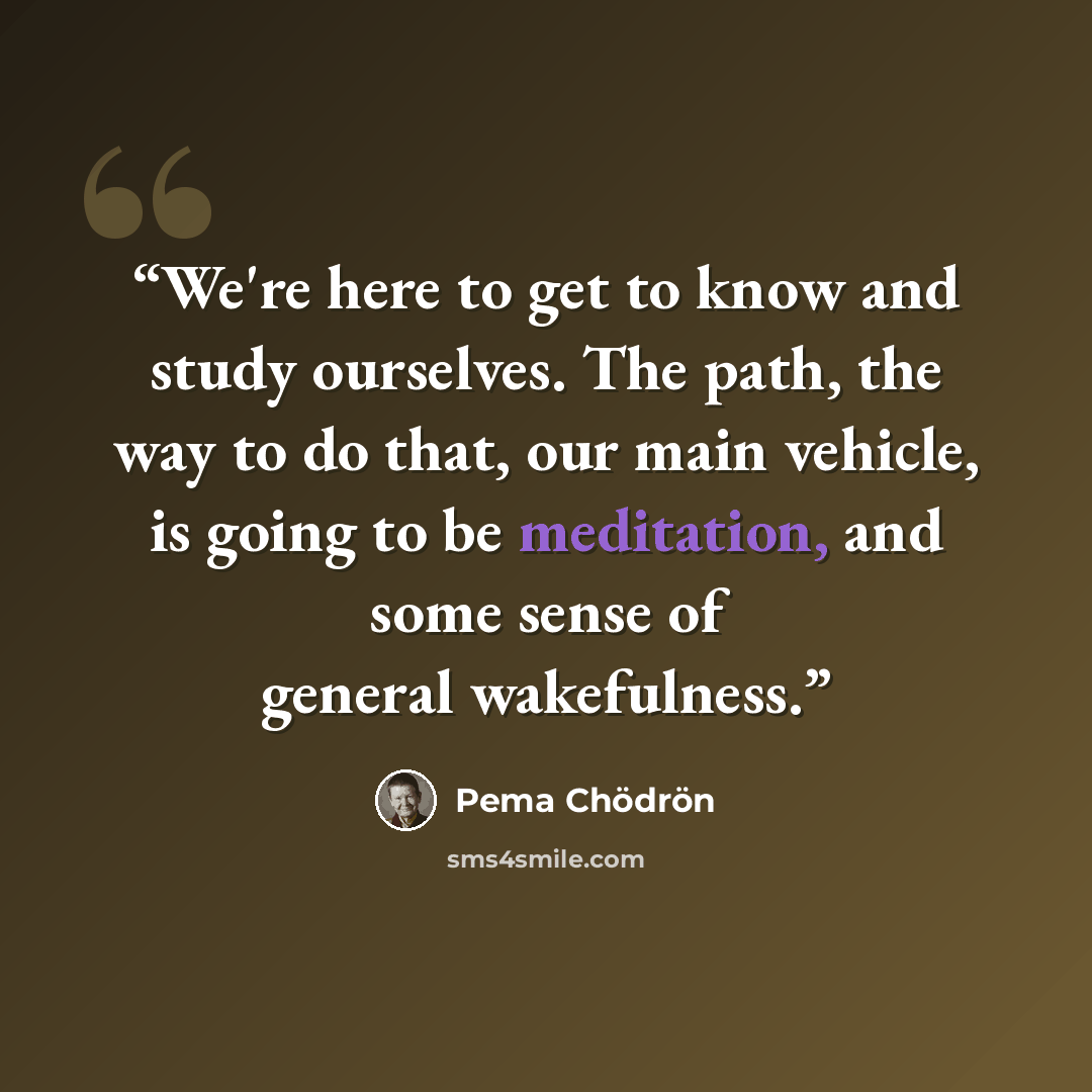 “We're here to get to know and study ourselves. The path, the way to do that, our main vehicle, is going to be meditation, and some sense of general wakefulness.” quote by Pema Chödrön