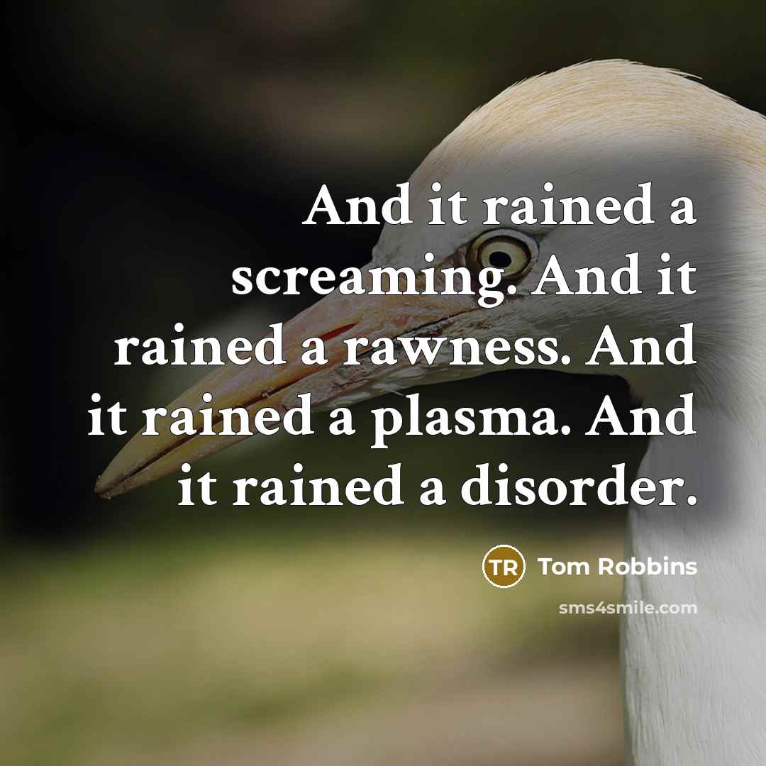 “And it rained a screaming. And it rained a rawness. And it rained a plasma. And it rained a disorder.” quote by Tom Robbins