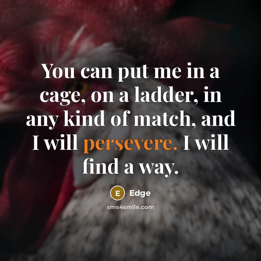 “You can put me in a cage, on a ladder, in any kind of match, and I will persevere. I will find a way.” quote by Edge