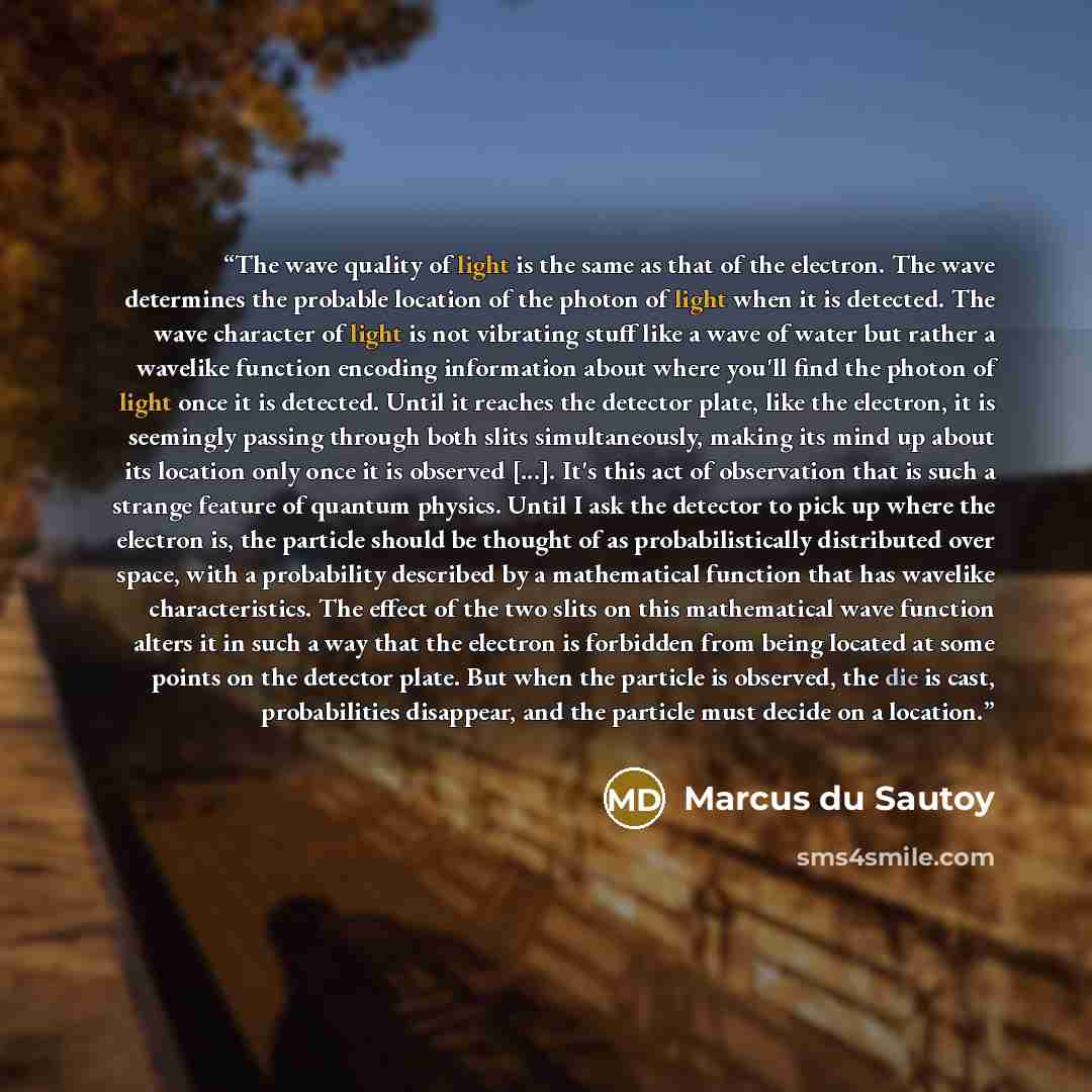 “The wave quality of light is the same as that of the electron. The wave determines the probable location of the photon of light when it is detected. The wave character of light is not vibrating stuff like a wave of water but rather a wavelike function encoding information about where you'll find…” quote by Marcus du Sautoy