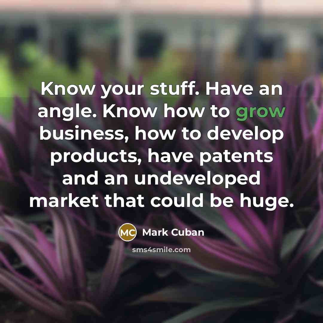“Know your stuff. Have an angle. Know how to grow business, how to develop products, have patents and an undeveloped market that could be huge.” quote by Mark Cuban