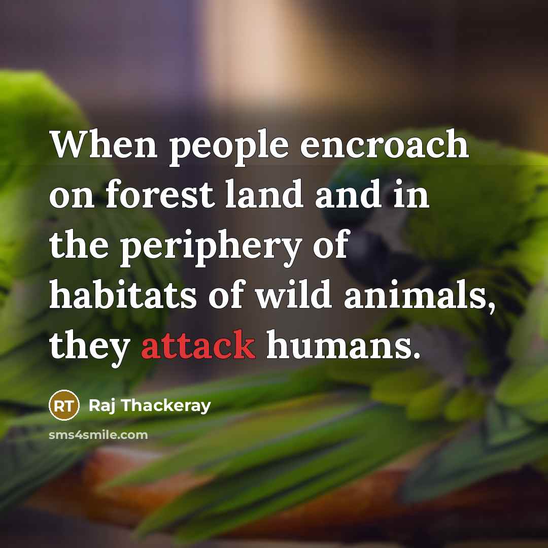 “When people encroach on forest land and in the periphery of habitats of wild animals, they attack humans.” quote by Raj Thackeray