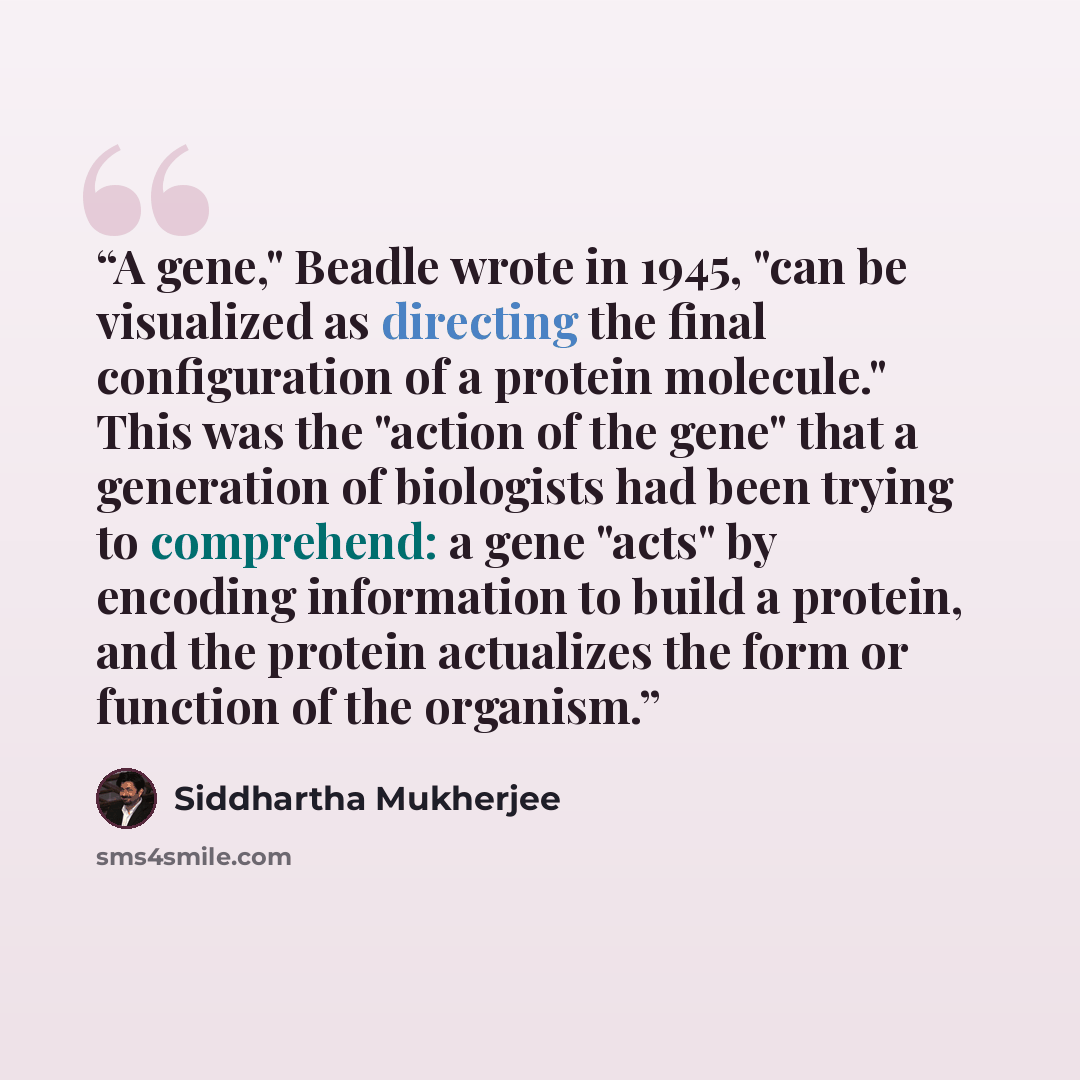 “A gene," Beadle wrote in 1945, "can be visualized as directing the final configuration of a protein molecule." This was the "action of the gene" that a generation of biologists had been trying to comprehend: a gene "acts" by encoding information to build a protein, and the protein actualizes the…” quote by Siddhartha Mukherjee