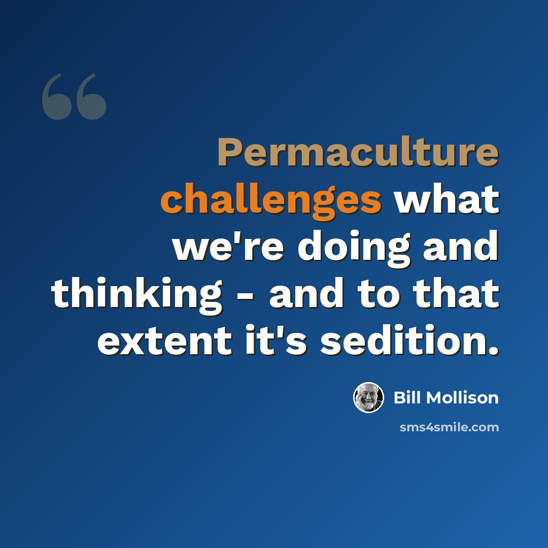 “Permaculture challenges what we're doing and thinking - and to that extent it's sedition.” quote by Bill Mollison