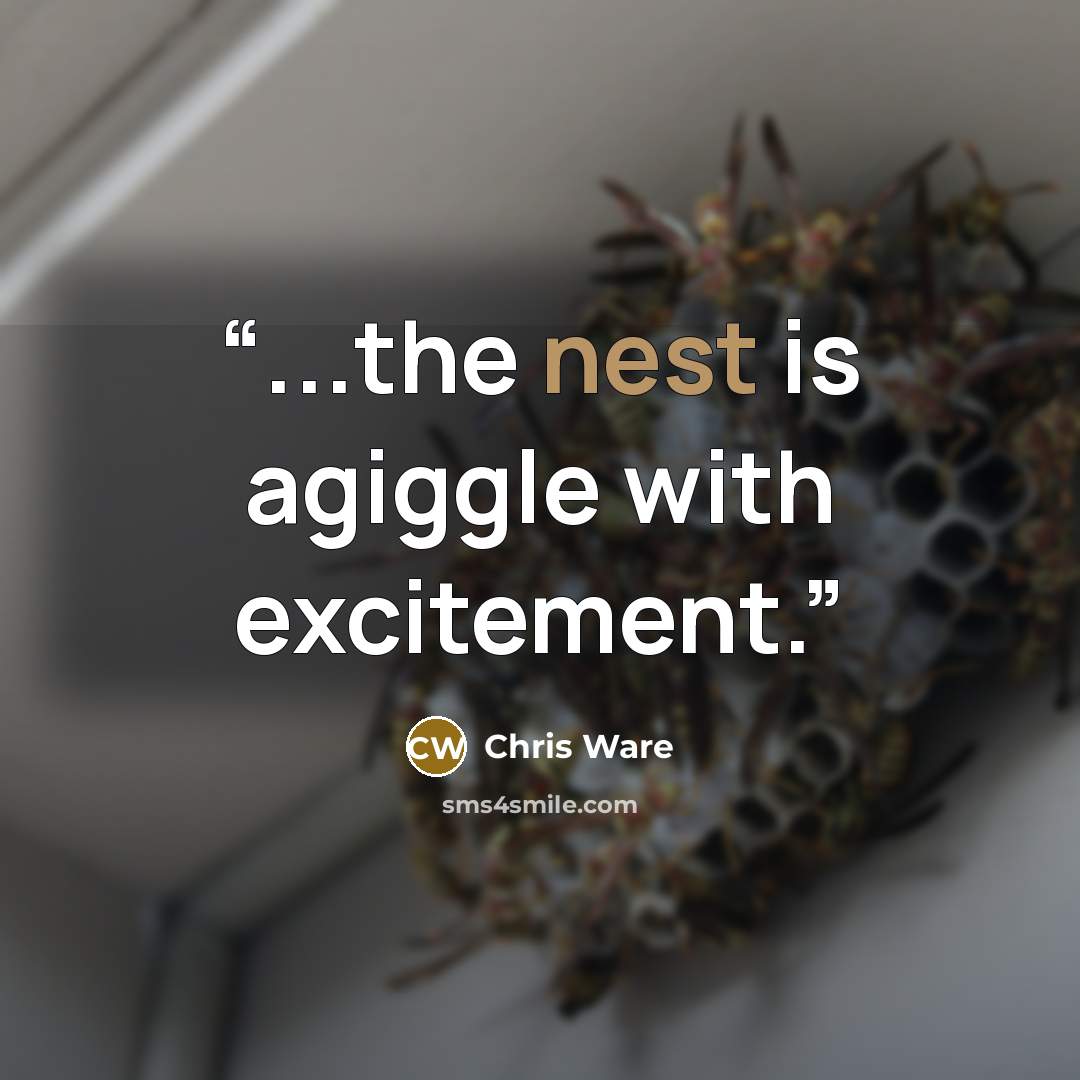 “...the nest is agiggle with excitement.” quote by Chris Ware