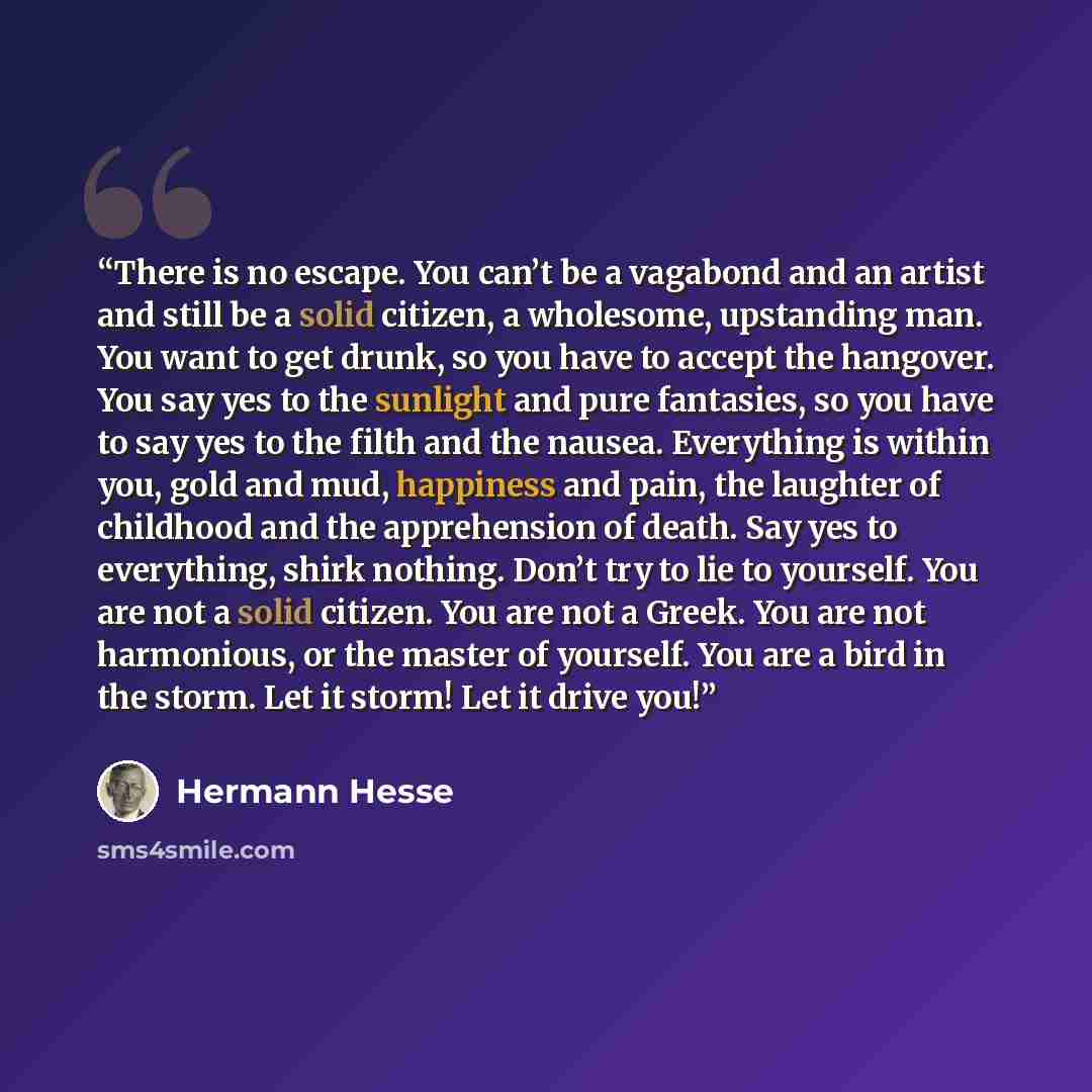 “There is no escape. You can’t be a vagabond and an artist and still be a solid citizen, a wholesome, upstanding man. You want to get drunk, so you have to accept the hangover. You say yes to the sunlight and pure fantasies, so you have to say yes to the filth and the nausea. Everything is within…” quote by Hermann Hesse