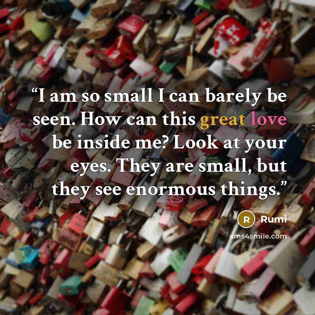 “I am so small I can barely be seen. How can this great love be inside me? Look at your eyes. They are small, but they see enormous things.” quote by Rumi