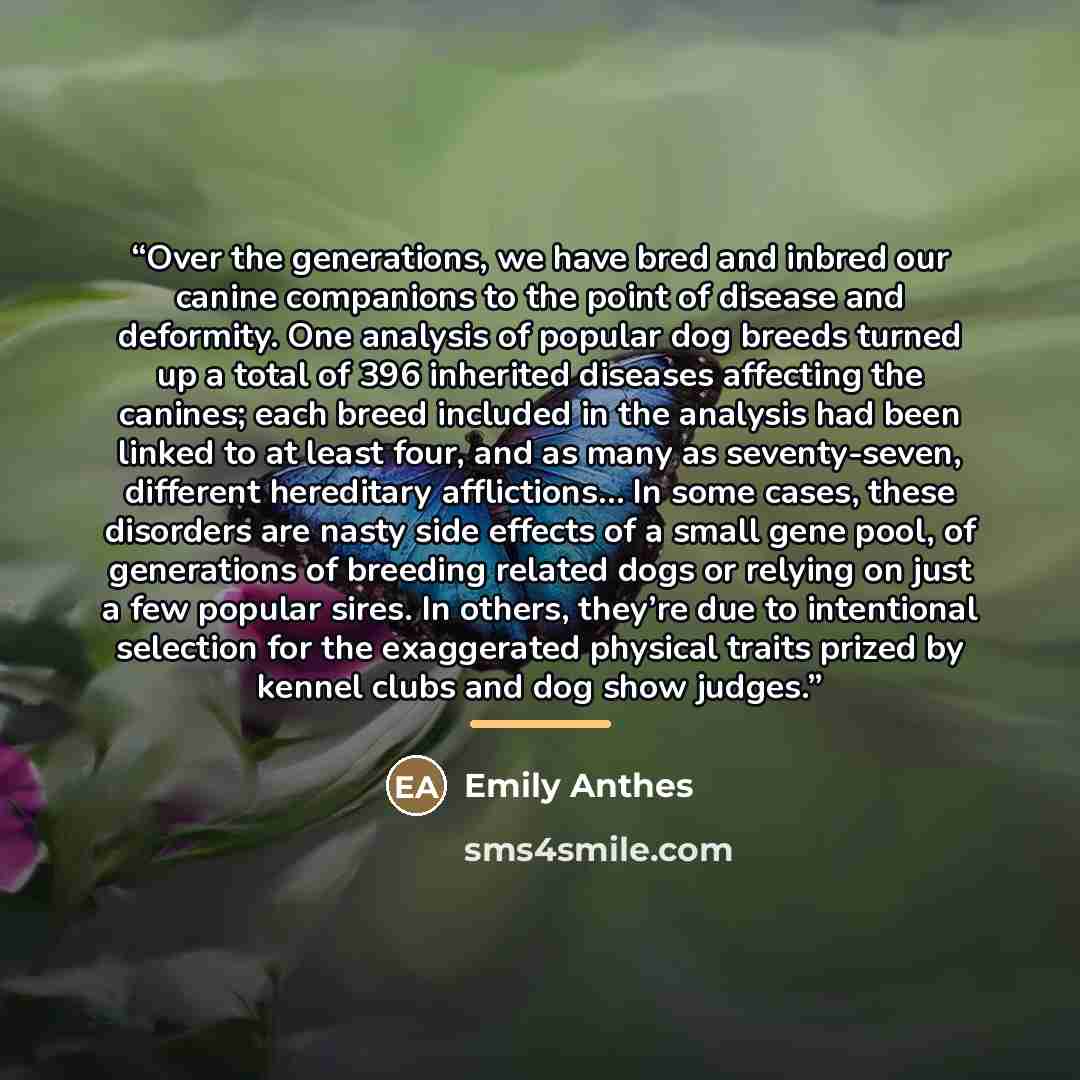 “Over the generations, we have bred and inbred our canine companions to the point of disease and deformity. One analysis of popular dog breeds turned up a total of 396 inherited diseases affecting the canines; each breed included in the analysis had been linked to at least four, and as many as…” quote by Emily Anthes