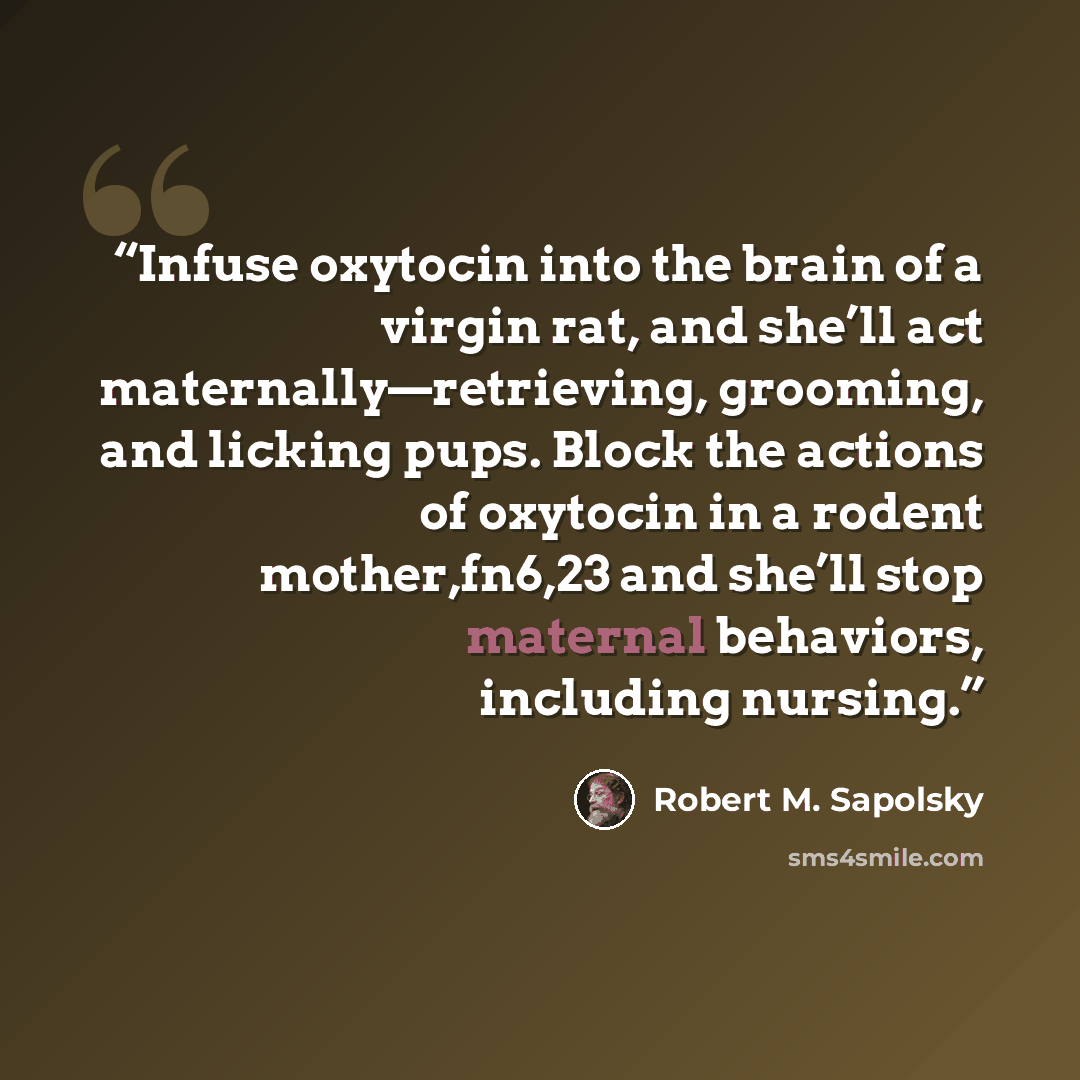 “Infuse oxytocin into the brain of a virgin rat, and she’ll act maternally—retrieving, grooming, and licking pups. Block the actions of oxytocin in a rodent mother,fn6,23 and she’ll stop maternal behaviors, including nursing.” quote by Robert M. Sapolsky