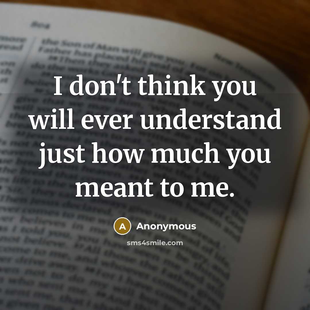 “I don't think you will ever understand just how much you meant to me.” quote by Anonymous