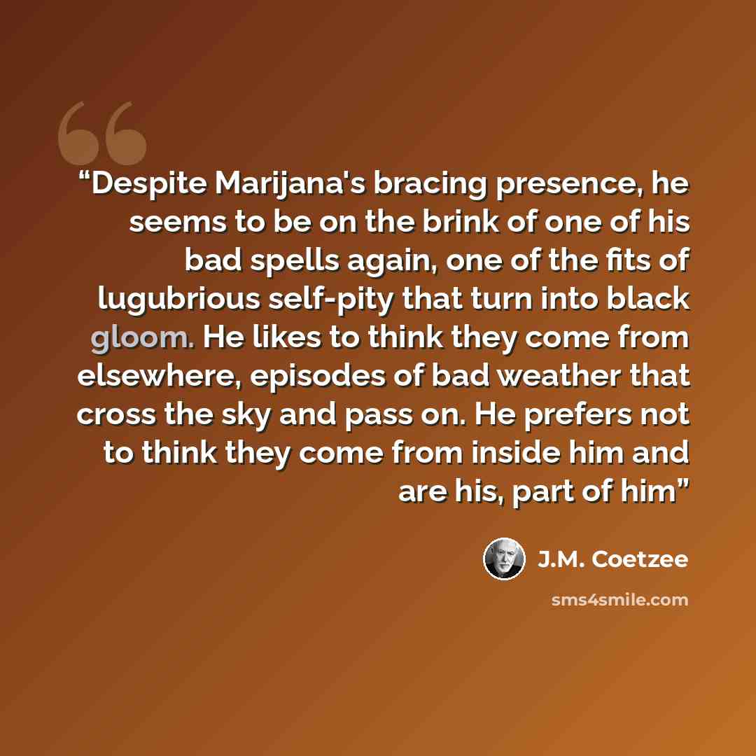 “Despite Marijana's bracing presence, he seems to be on the brink of one of his bad spells again, one of the fits of lugubrious self-pity that turn into black gloom. He likes to think they come from elsewhere, episodes of bad weather that cross the sky and pass on. He prefers not to think they come…” quote by J.M. Coetzee
