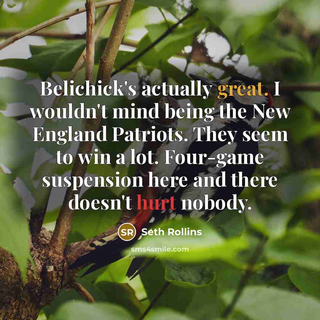 “Belichick's actually great. I wouldn't mind being the New England Patriots. They seem to win a lot. Four-game suspension here and there doesn't hurt nobody.” quote by Seth Rollins