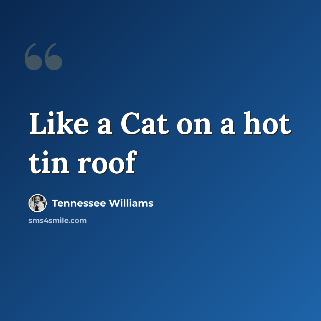 “Like a Cat on a hot tin roof” quote by Tennessee Williams