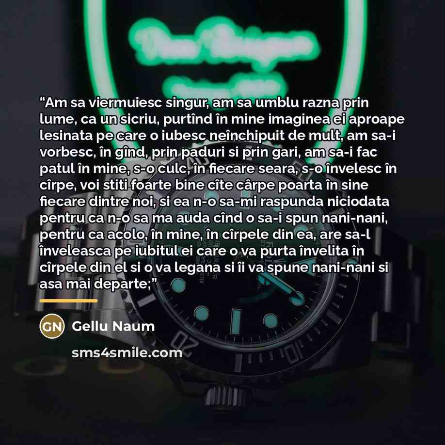“Am sa viermuiesc singur, am sa umblu razna prin lume, ca un sicriu, purtînd în mine imaginea ei aproape lesinata pe care o iubesc neînchipuit de mult, am sa-i vorbesc, în gînd, prin paduri si prin gari, am sa-i fac patul în mine, s-o culc, în fiecare seara, s-o învelesc în cîrpe, voi stiti foarte…” quote by Gellu Naum