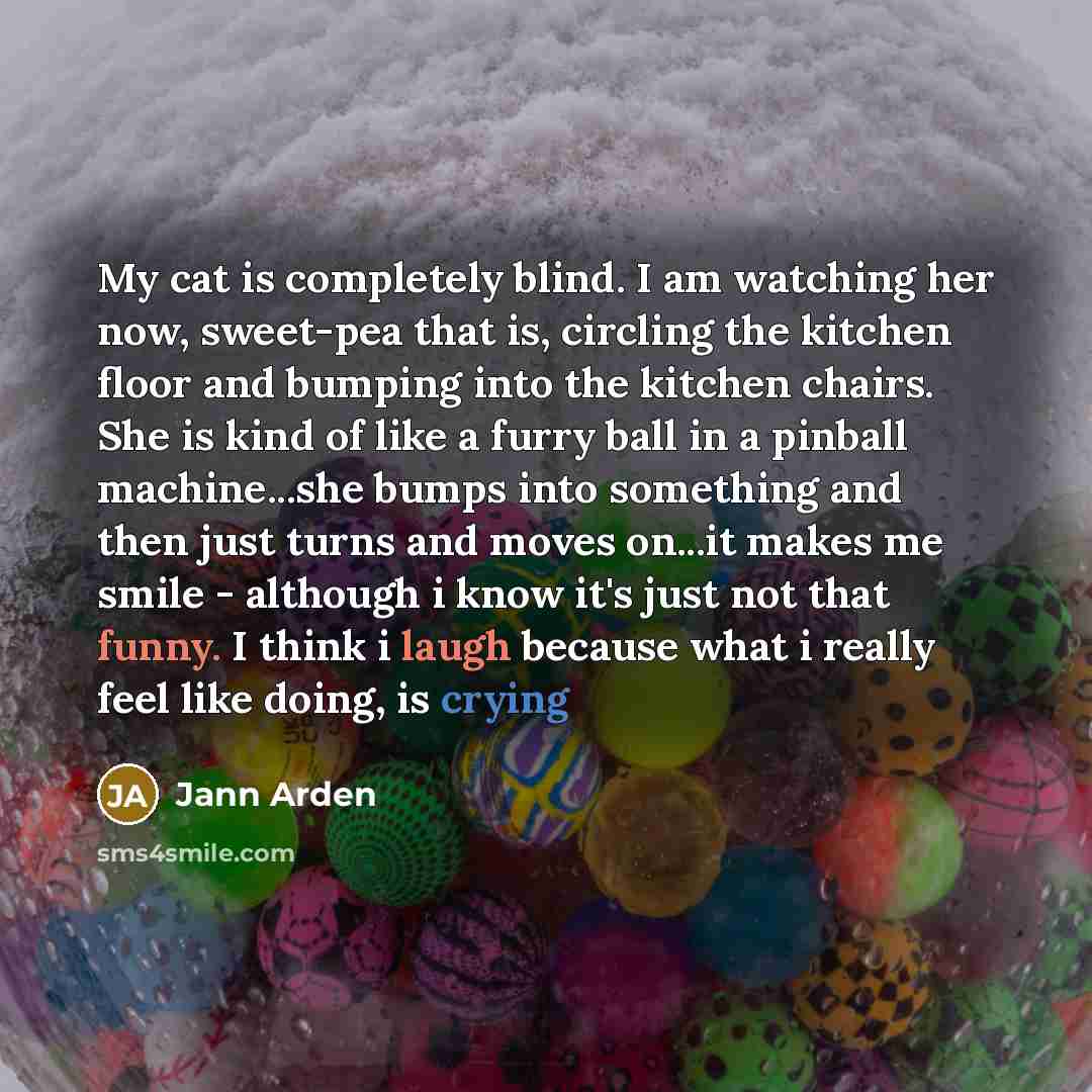 “My cat is completely blind. I am watching her now, sweet-pea that is, circling the kitchen floor and bumping into the kitchen chairs. She is kind of like a furry ball in a pinball machine...she bumps into something and then just turns and moves on...it makes me smile - although i know it's just…” quote by Jann Arden