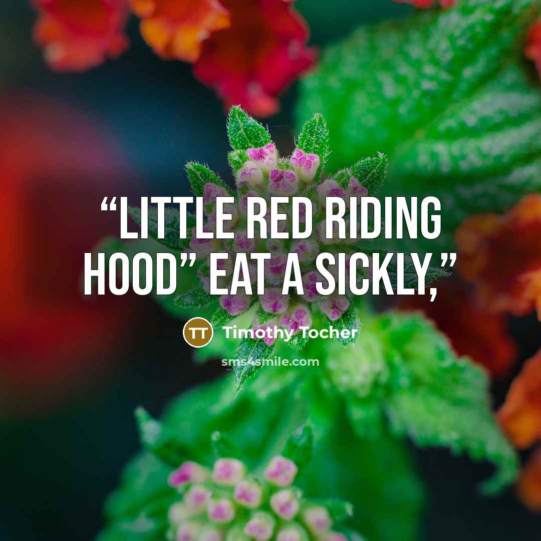 “Little Red Riding Hood” eat a sickly,” quote by Timothy Tocher