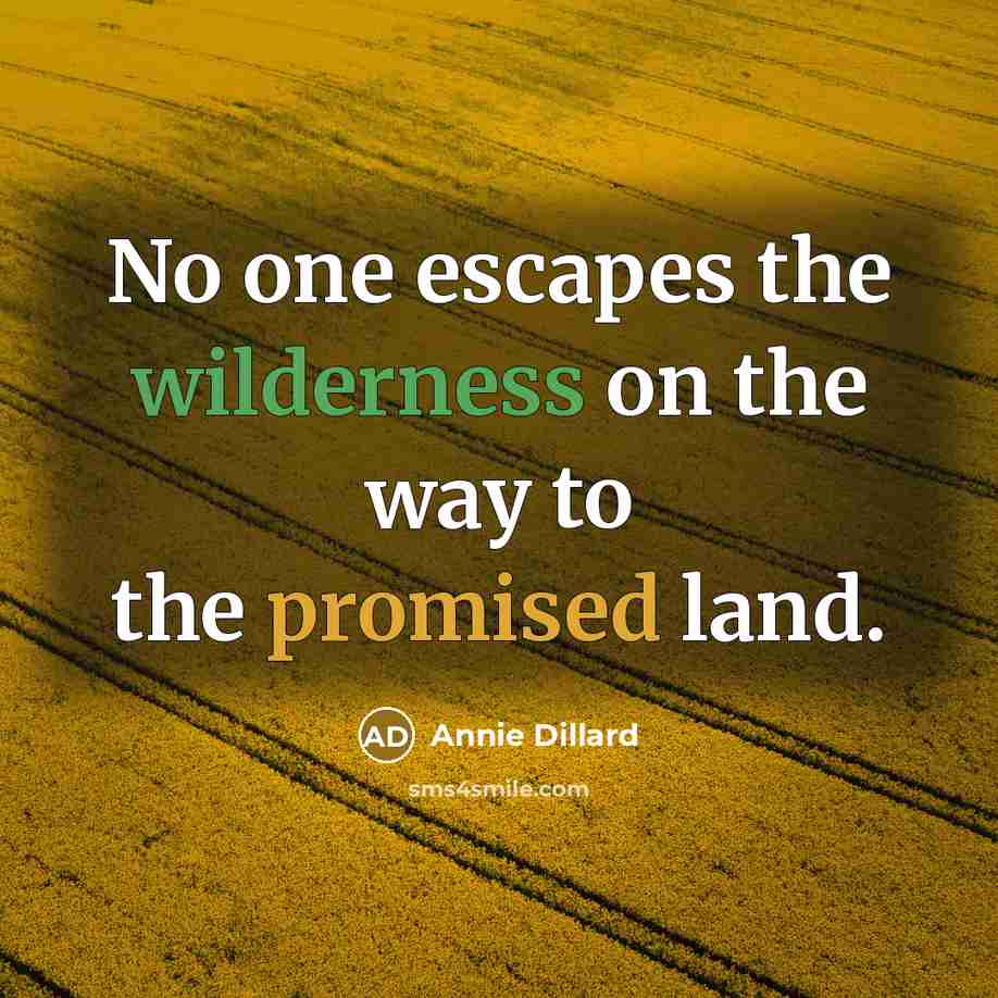 “No one escapes the wilderness on the way to the promised land.” quote by Annie Dillard