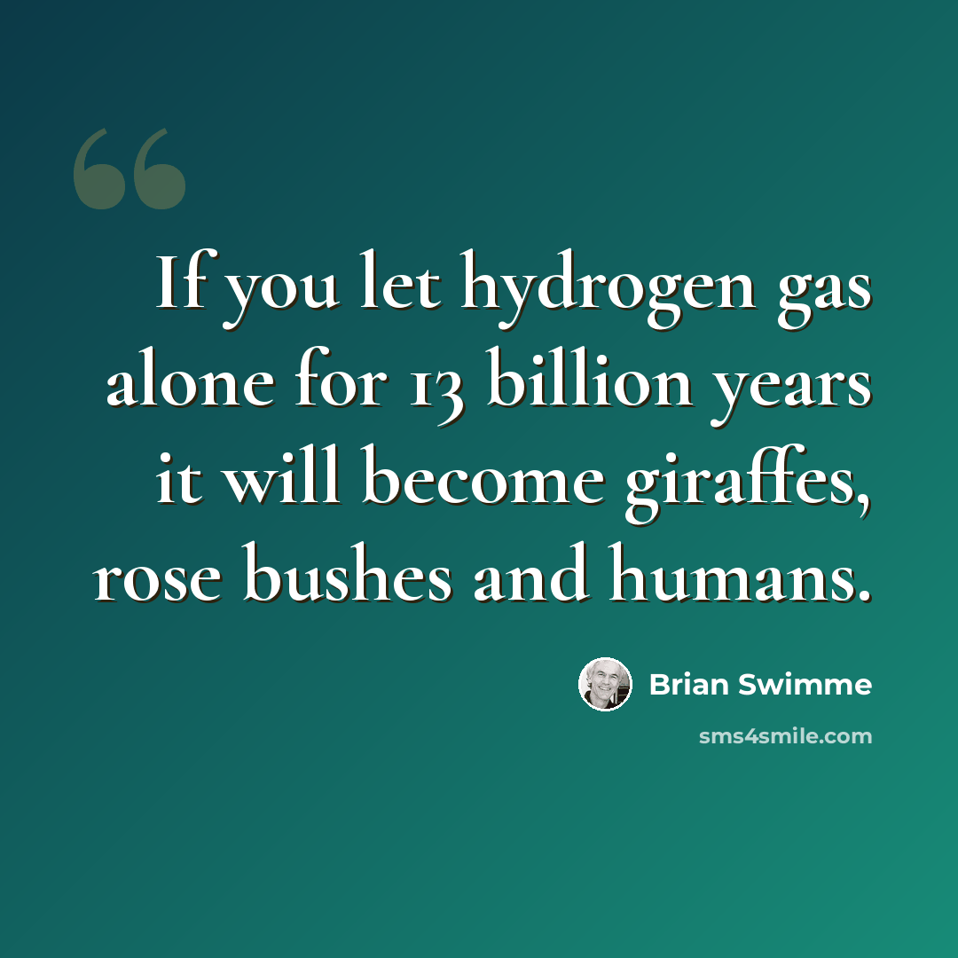 “If you let hydrogen gas alone for 13 billion years it will become giraffes, rose bushes and humans.” quote by Brian Swimme