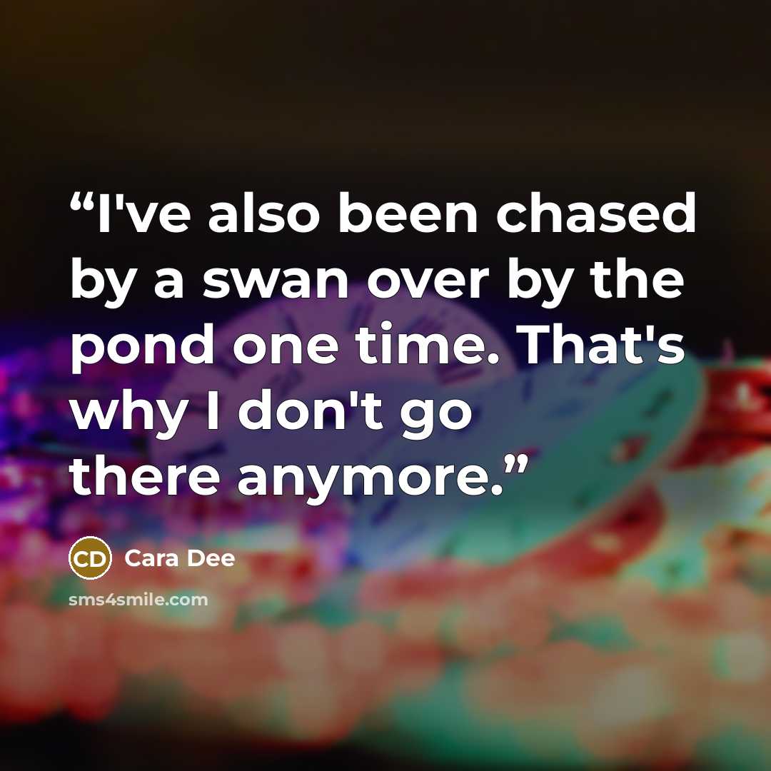 “I've also been chased by a swan over by the pond one time. That's why I don't go there anymore.” quote by Cara Dee