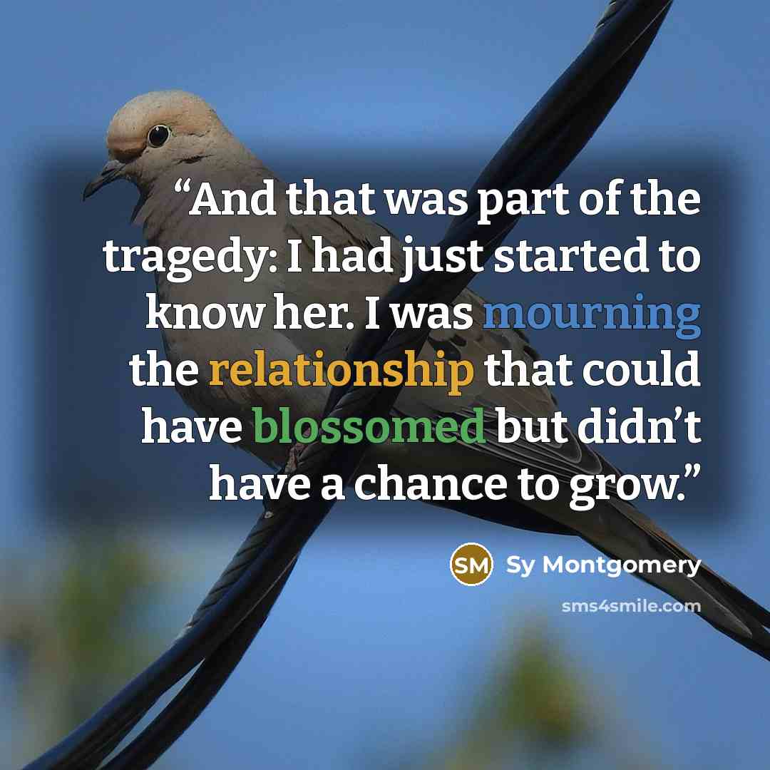 “And that was part of the tragedy: I had just started to know her. I was mourning the relationship that could have blossomed but didn’t have a chance to grow.” quote by Sy Montgomery
