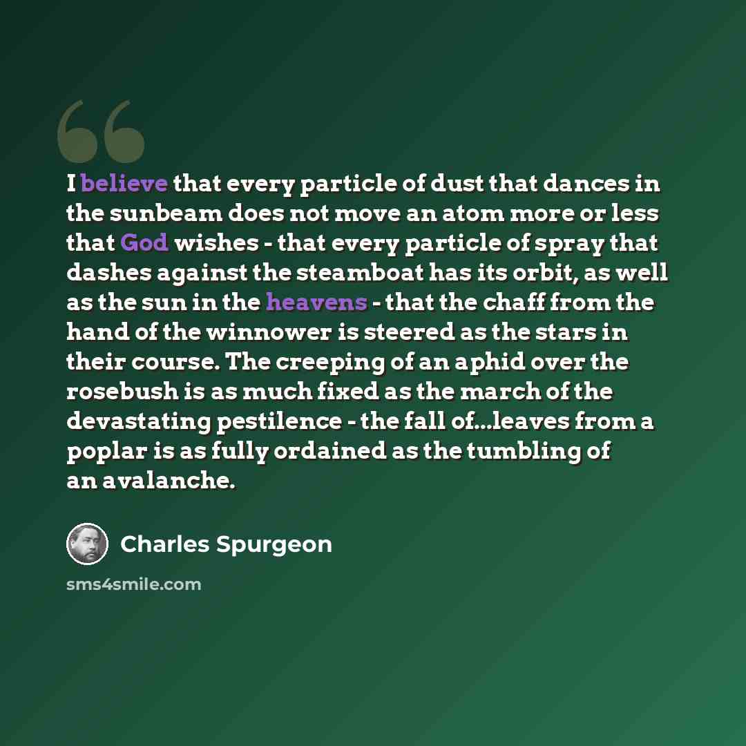 “I believe that every particle of dust that dances in the sunbeam does not move an atom more or less that God wishes - that every particle of spray that dashes against the steamboat has its orbit, as well as the sun in the heavens - that the chaff from the hand of the winnower is steered as the…” quote by Charles Spurgeon