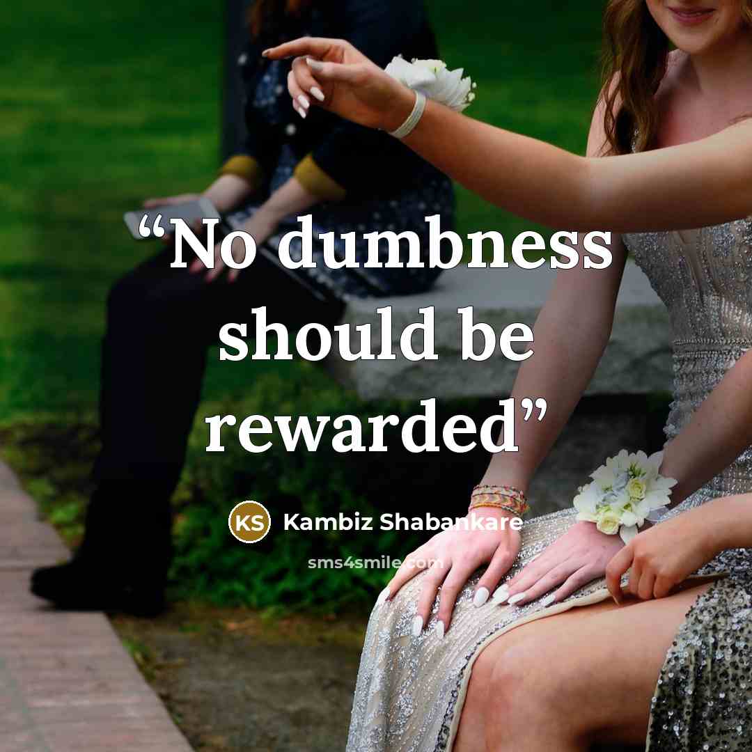 “No dumbness should be rewarded” quote by Kambiz Shabankare
