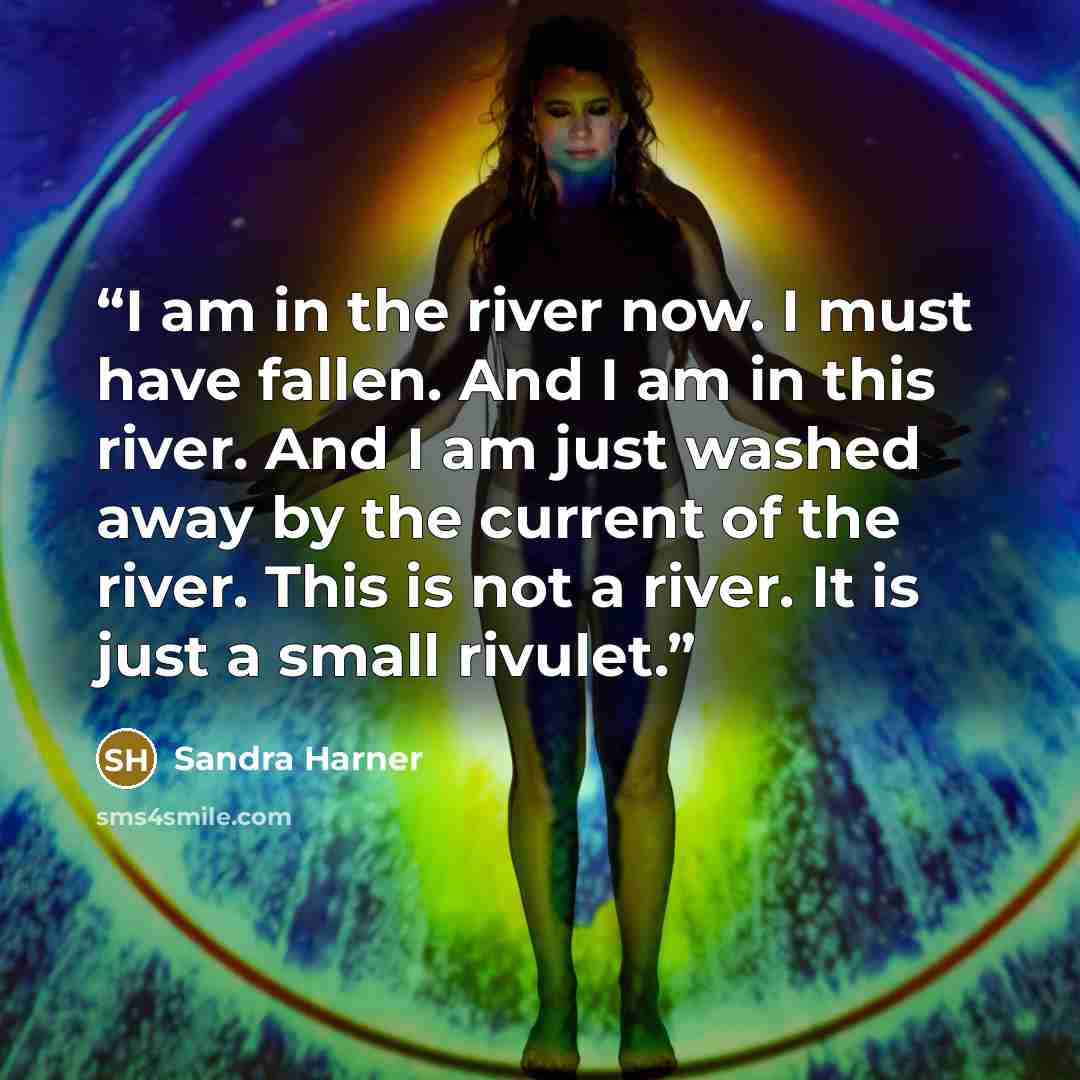 “I am in the river now. I must have fallen. And I am in this river. And I am just washed away by the current of the river. This is not a river. It is just a small rivulet.” quote by Sandra Harner