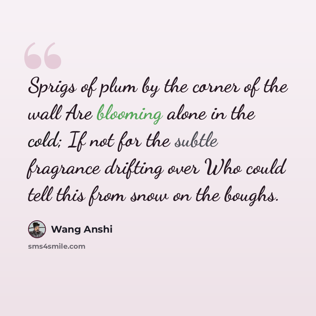 “Sprigs of plum by the corner of the wall Are blooming alone in the cold; If not for the subtle fragrance drifting over Who could tell this from snow on the boughs.” quote by Wang Anshi