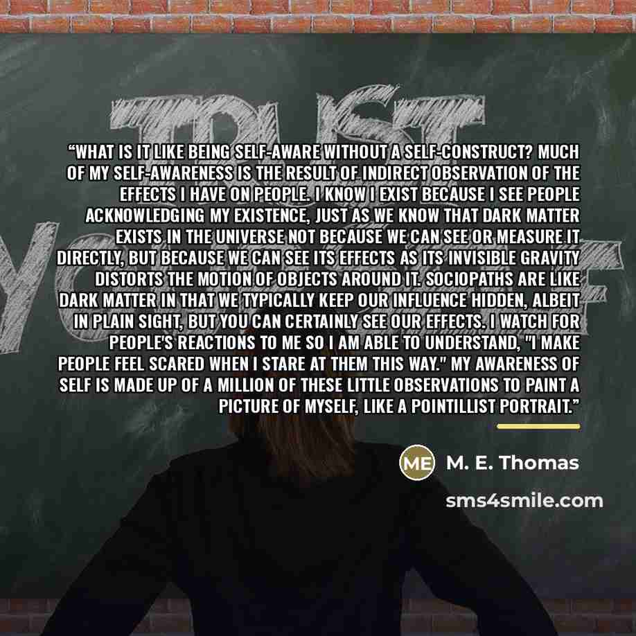 “What is it like being self-aware without a self-construct? Much of my self-awareness is the result of indirect observation of the effects I have on people. I know I exist because I see people acknowledging my existence, just as we know that dark matter exists in the universe not because we can see…” quote by M. E. Thomas