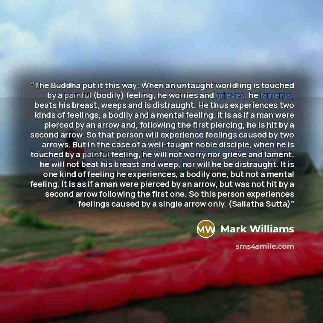 “The Buddha put it this way: When an untaught worldling is touched by a painful (bodily) feeling, he worries and grieves, he laments, beats his breast, weeps and is distraught. He thus experiences two kinds of feelings, a bodily and a mental feeling. It is as if a man were pierced by an arrow and…” quote by Mark Williams