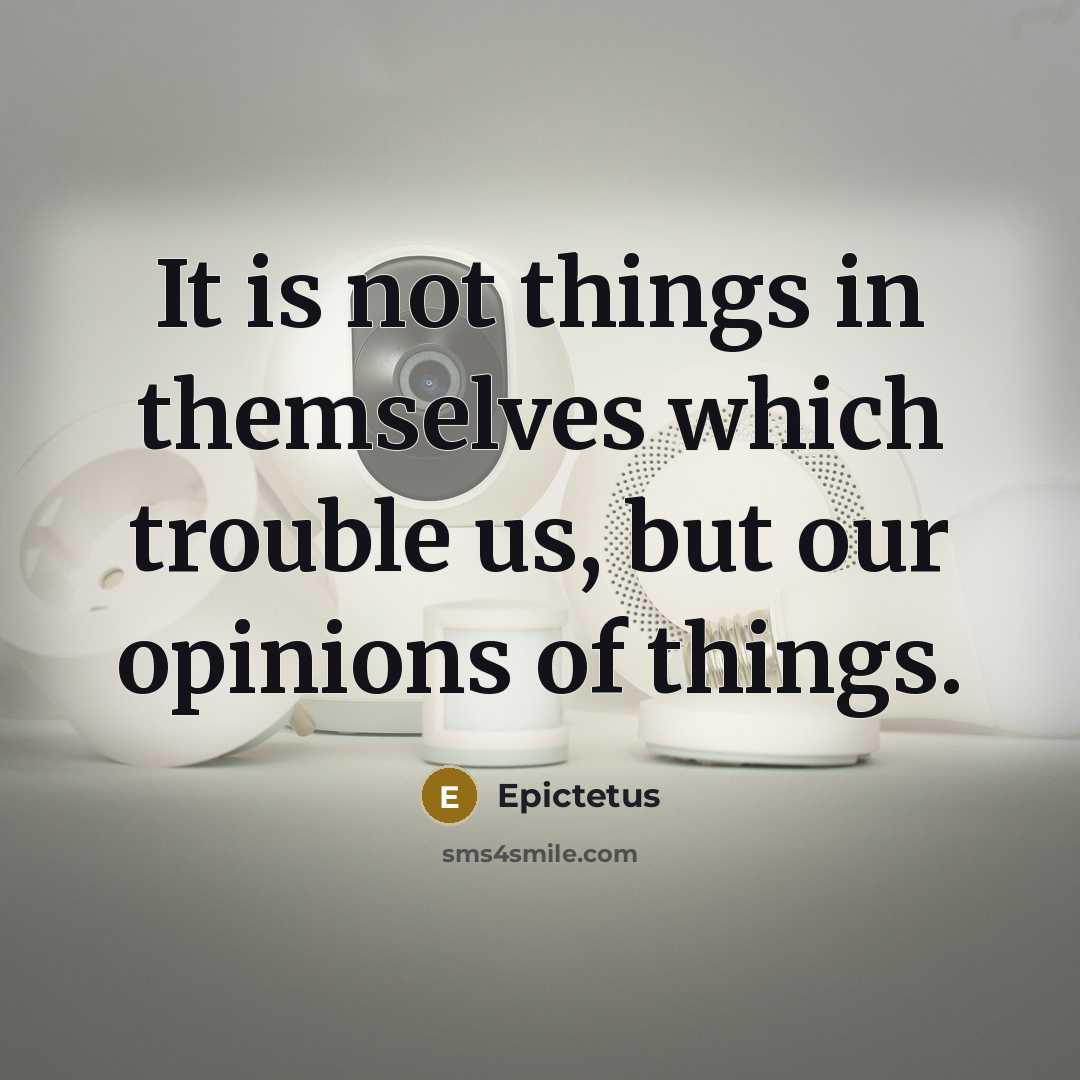 “It is not things in themselves which trouble us, but our opinions of things.” quote by Epictetus
