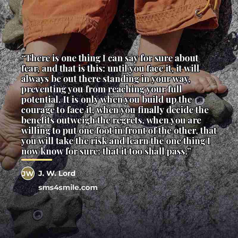 “There is one thing I can say for sure about fear, and that is this: until you face it, it will always be out there standing in your way, preventing you from reaching your full potential. It is only when you build up the courage to face it, when you finally decide the benefits outweigh the regrets…” quote by J. W. Lord