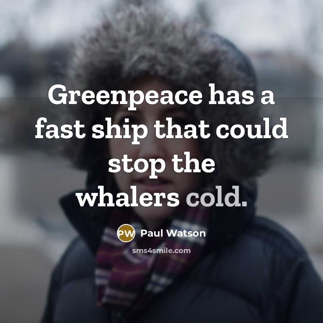 “Greenpeace has a fast ship that could stop the whalers cold.” quote by Paul Watson
