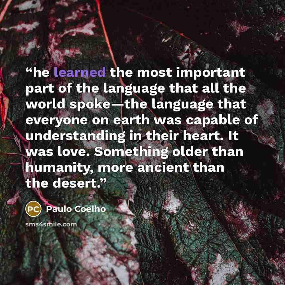 “he learned the most important part of the language that all the world spoke—the language that everyone on earth was capable of understanding in their heart. It was love. Something older than humanity, more ancient than the desert.” quote by Paulo Coelho