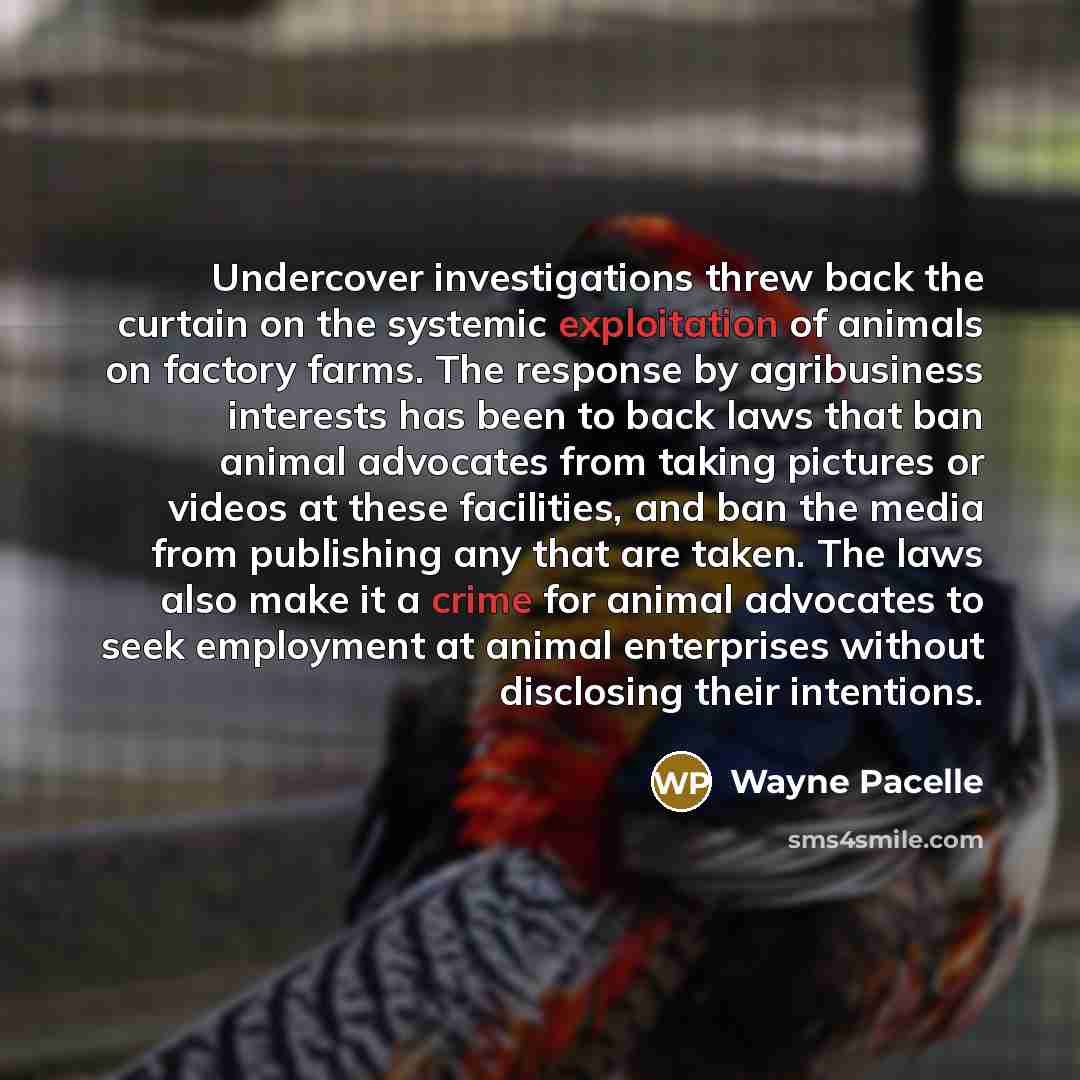 “Undercover investigations threw back the curtain on the systemic exploitation of animals on factory farms. The response by agribusiness interests has been to back laws that ban animal advocates from taking pictures or videos at these facilities, and ban the media from publishing any that are…” quote by Wayne Pacelle