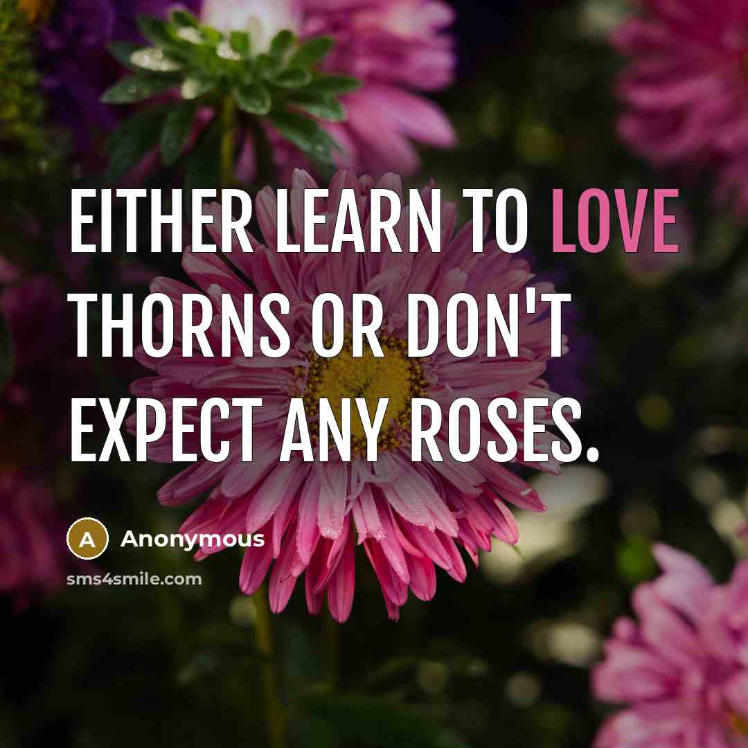 “Either learn to love thorns or don't expect any roses.” quote by Anonymous